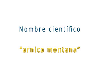 nombre cientifico del arnica