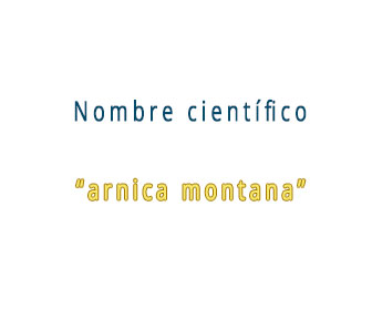 Nombre Cientifico De Arnica Y Uso Medicinal