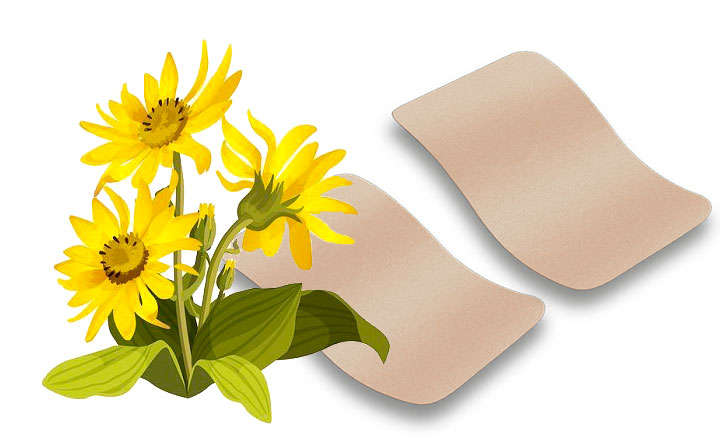 Parches De Arnica Para El Dolor De Espalda Y Rigidez De Cuello Y